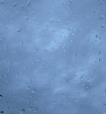 雨降ってきたね..☔️