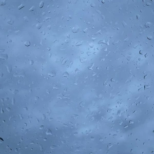 雨降ってきたね..☔️