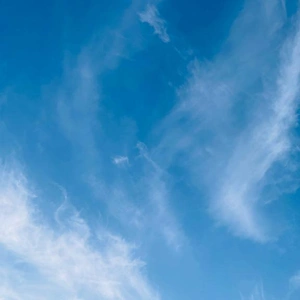 おはよう☀️