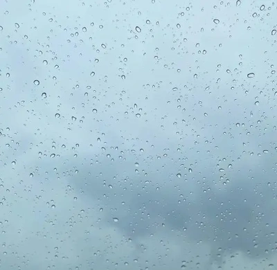 降ってきたね☔️