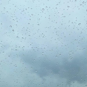 降ってきたね☔️