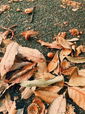 今日から10月だね🍁