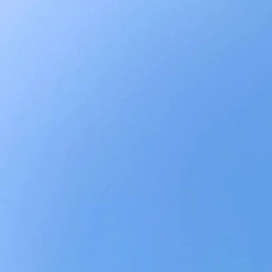 おはよう(o´ω`o)