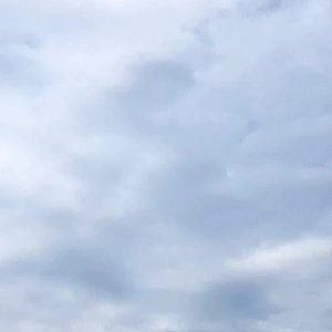 降らなかったね( ˙꒳​˙  )
