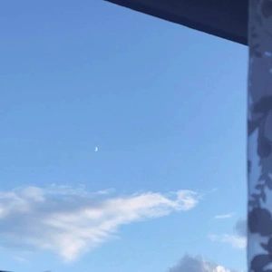 いいお天気だね😊☀️.°