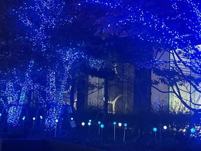 気をつけてね( ¨̮ )ﾉﾞ