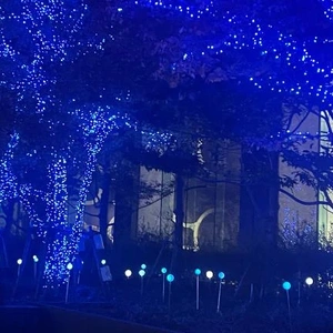 気をつけてね( ¨̮ )ﾉﾞ