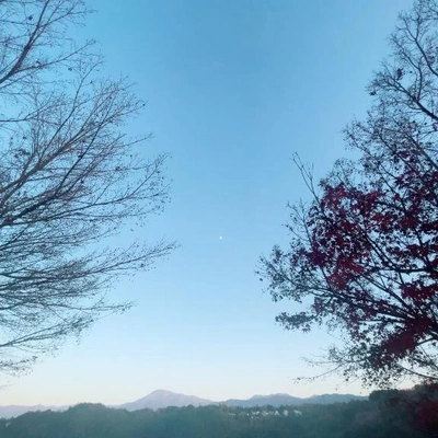 こんにちは☀️✨️