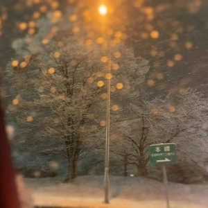 こんばんは⭐️