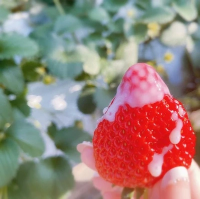 …欲しいなぁ🍓💕