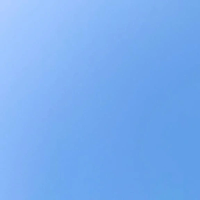 風が強いね🤧🍃