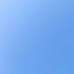 風が強いね🤧🍃