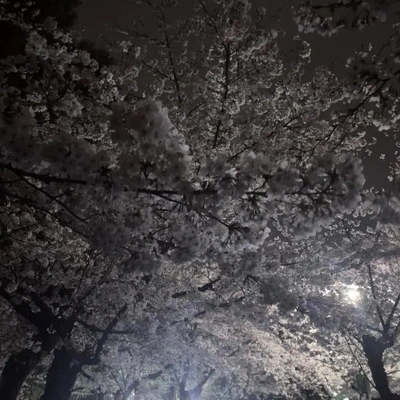 おやすみなさい⭐️