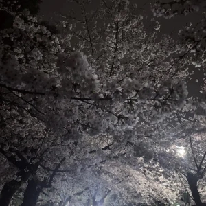 おやすみなさい⭐️