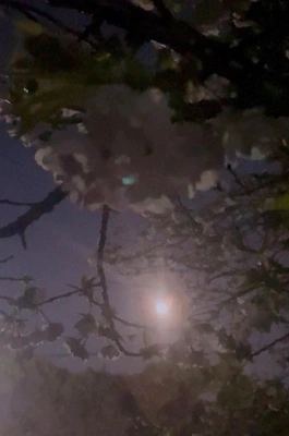 ピンクムーン🩷