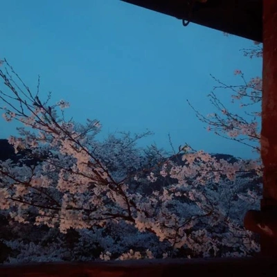 おつかれさまです(｡ᵕᴗᵕ｡)