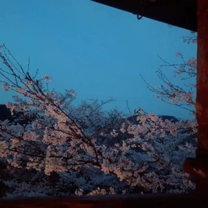 おつかれさまです(｡ᵕᴗᵕ｡)