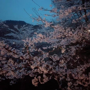 おつかれさまです(｡ᵕᴗᵕ｡)