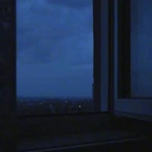 おやすみなさい⭐️