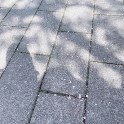 気持ちいいね🍃