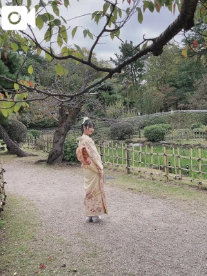 ありがとうキテネ💌