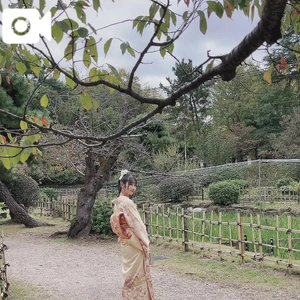 ありがとうキテネ💌