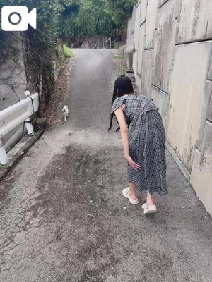 発見🐱