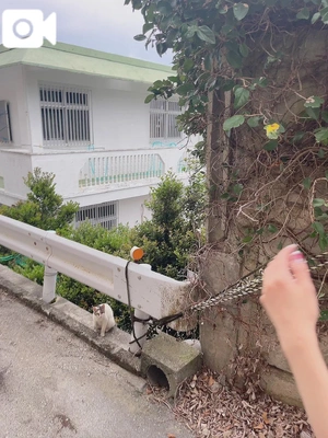 続きは後ほど…