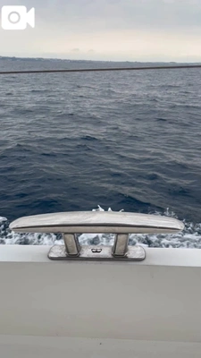 ゆりかごのようで