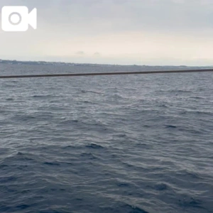 ゆりかごのようで