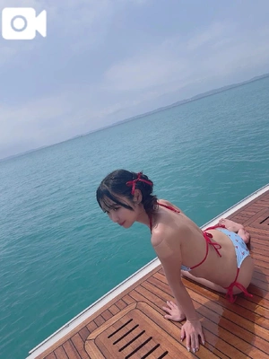 最近のハマり💭