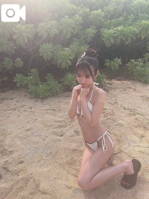 見た目と雰囲気