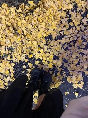 昇格した意味ない