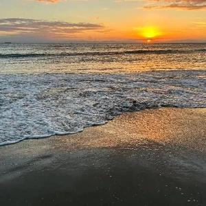 制服と顔面騎乗位🩷