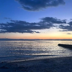 💌不意打ちに書くのずるい！