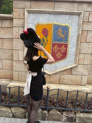 🐭🏰🌟