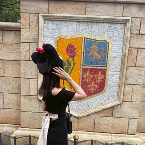 🐭🏰🌟