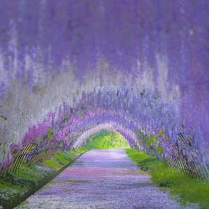 💌🕊️N様