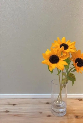 💌🕊️O様