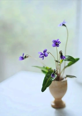 💌🕊️T様
