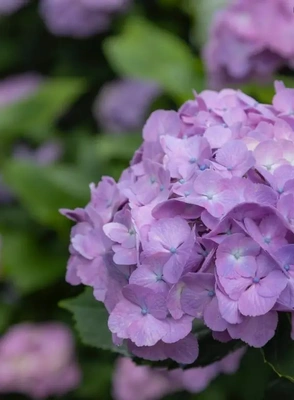 💌🕊️Y様