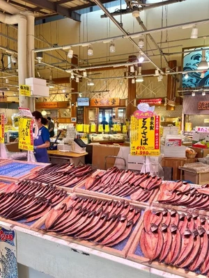 お魚を探して…