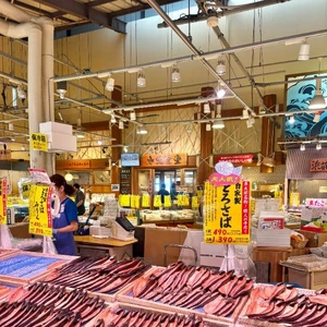 お魚を探して…