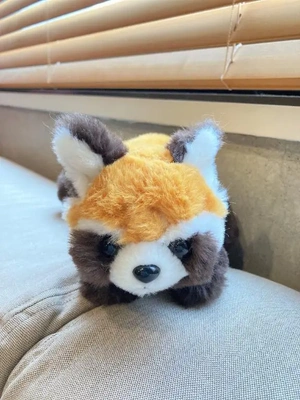 かわいい子♡