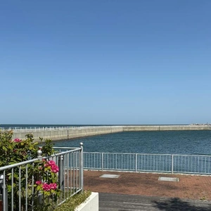 夏休み🌻