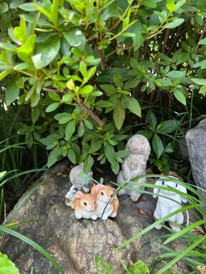 出勤予定!!絶対確認🫶