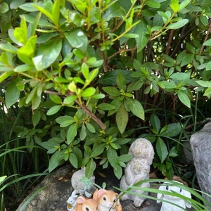 出勤予定！！絶対確認🫶