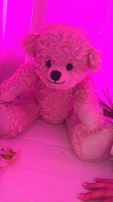 お休みになりました😭