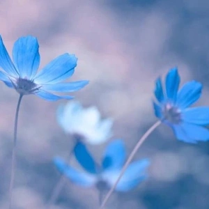 お久しぶりです。