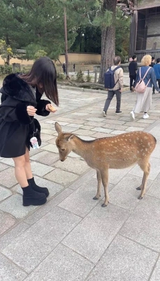 💜しののこのこのこ